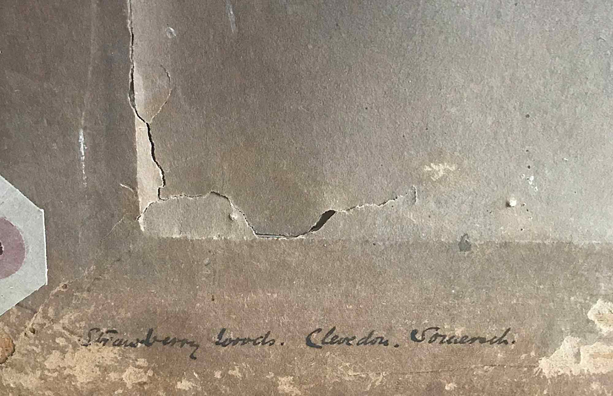 Alice Des Clayes Pastel 'Strawberry Woods - Clevedon, Somerset' Alice Des Clayes Pastel 'Strawberry Woods - Clevedon, Somerset'