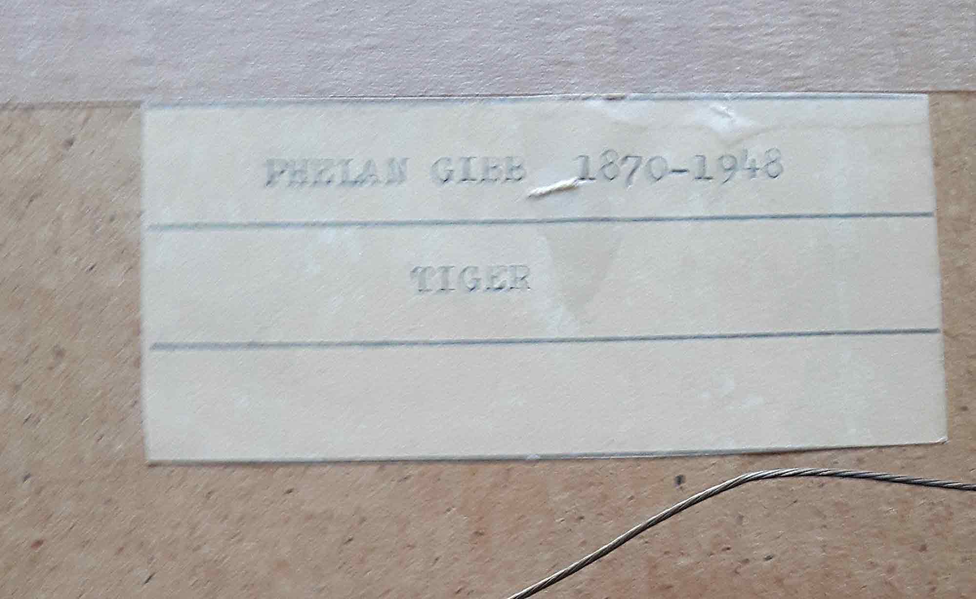 Phelan Gibb 'Tiger'