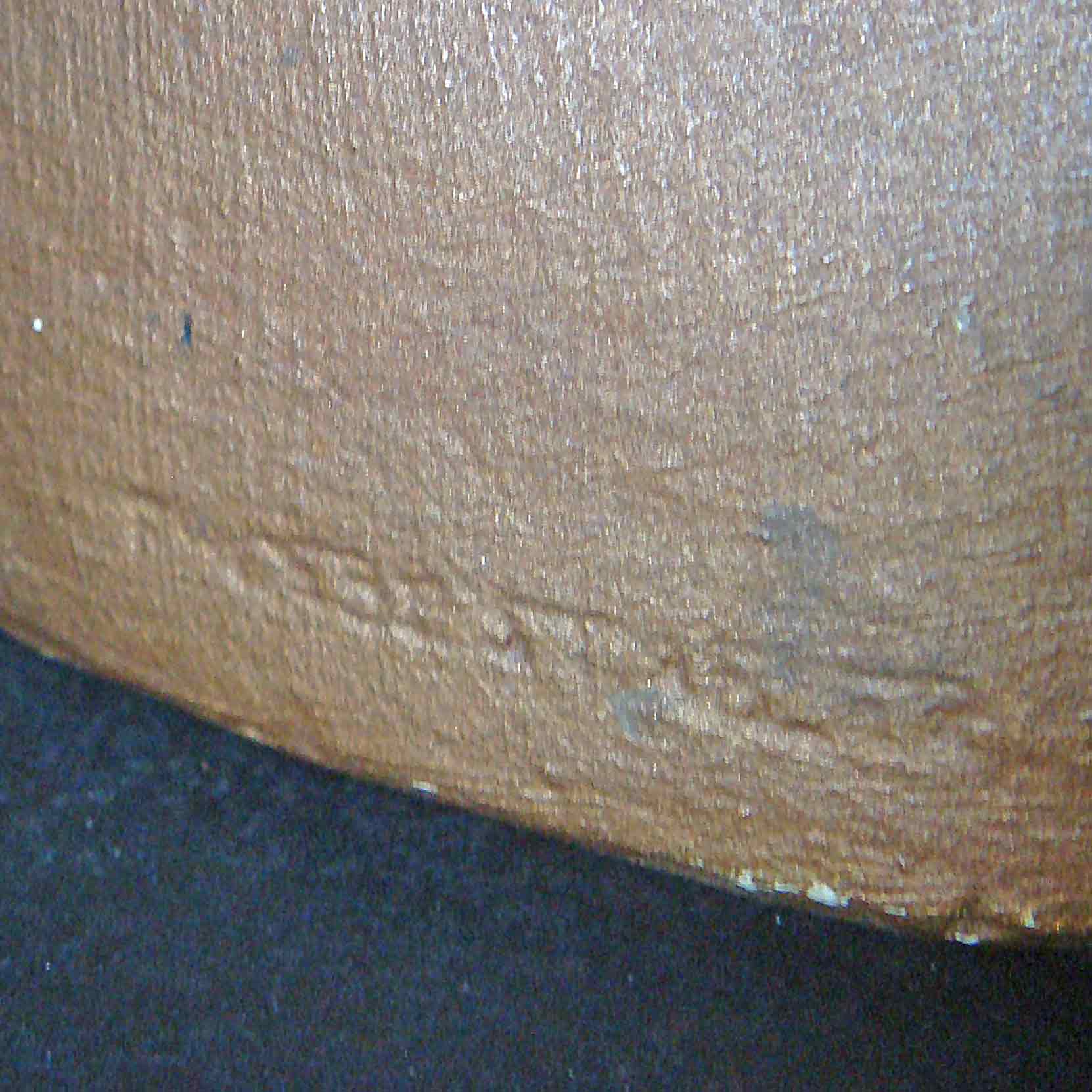 Phoebe Stabler Plaster Bust of a Maiden