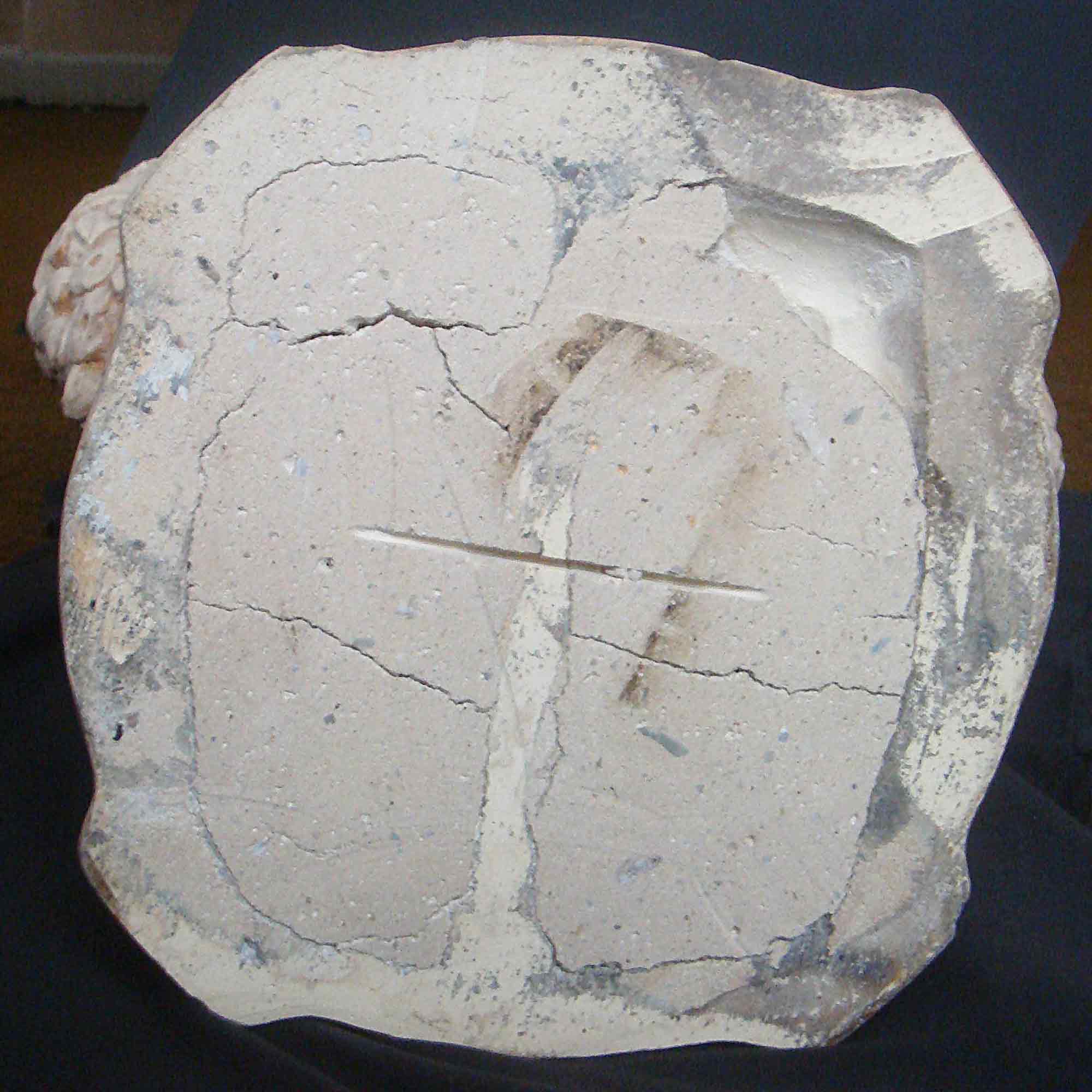 Phoebe Stabler Putto